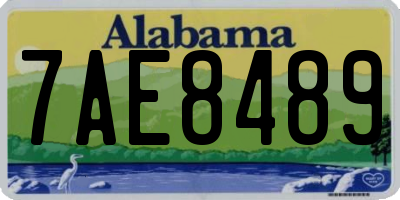 AL license plate 7AE8489