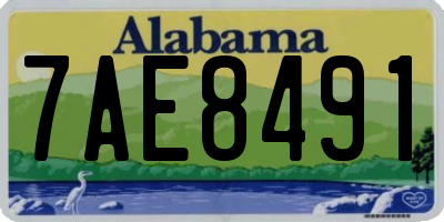 AL license plate 7AE8491