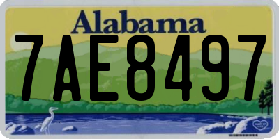 AL license plate 7AE8497