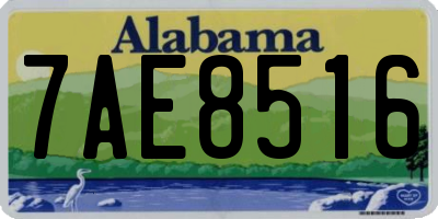 AL license plate 7AE8516