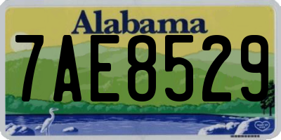 AL license plate 7AE8529