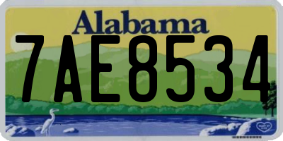 AL license plate 7AE8534