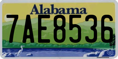 AL license plate 7AE8536