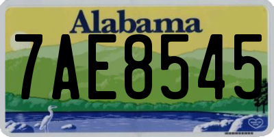 AL license plate 7AE8545