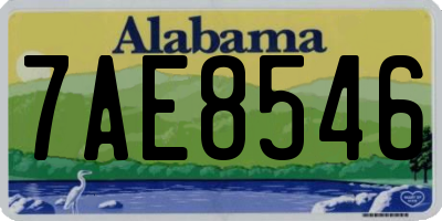 AL license plate 7AE8546