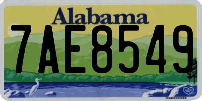 AL license plate 7AE8549