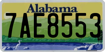 AL license plate 7AE8553