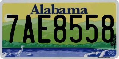 AL license plate 7AE8558