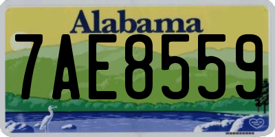 AL license plate 7AE8559