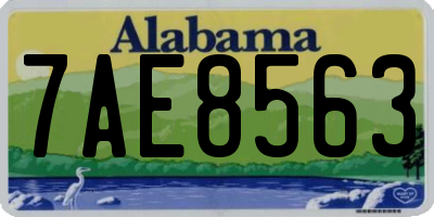 AL license plate 7AE8563