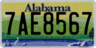 AL license plate 7AE8567