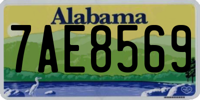 AL license plate 7AE8569