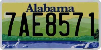 AL license plate 7AE8571