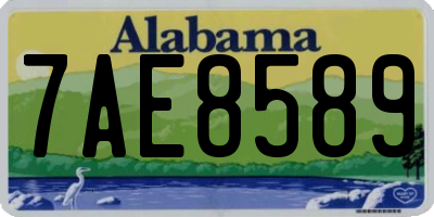 AL license plate 7AE8589