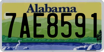 AL license plate 7AE8591
