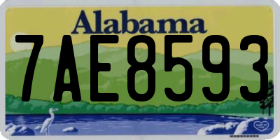 AL license plate 7AE8593