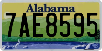 AL license plate 7AE8595