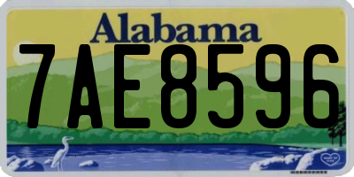 AL license plate 7AE8596