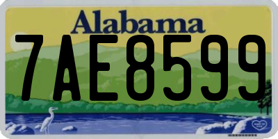 AL license plate 7AE8599