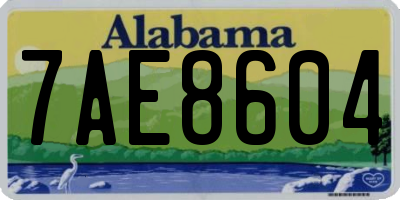 AL license plate 7AE8604