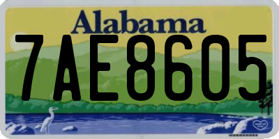 AL license plate 7AE8605