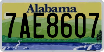 AL license plate 7AE8607