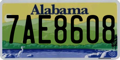 AL license plate 7AE8608