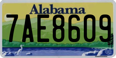 AL license plate 7AE8609