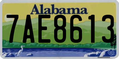 AL license plate 7AE8613
