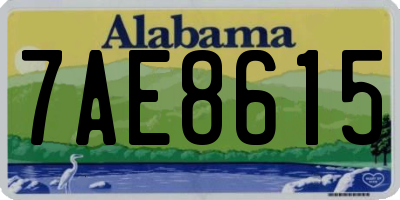 AL license plate 7AE8615