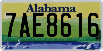 AL license plate 7AE8616