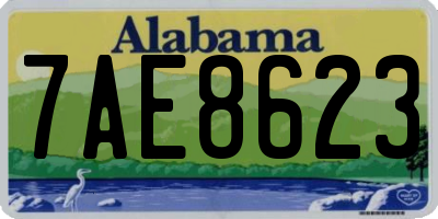 AL license plate 7AE8623