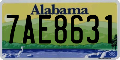 AL license plate 7AE8631
