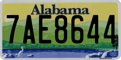 AL license plate 7AE8644