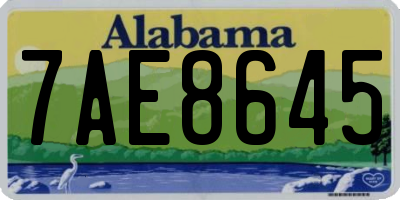 AL license plate 7AE8645