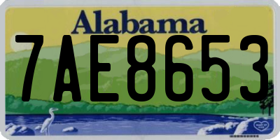 AL license plate 7AE8653