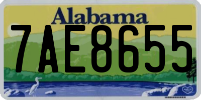 AL license plate 7AE8655