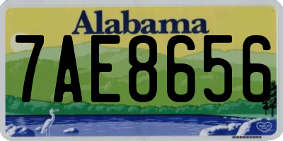 AL license plate 7AE8656