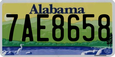AL license plate 7AE8658