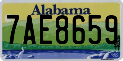 AL license plate 7AE8659