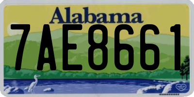 AL license plate 7AE8661