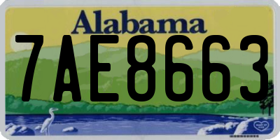 AL license plate 7AE8663