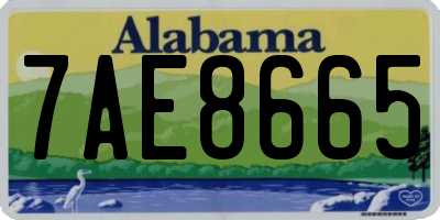 AL license plate 7AE8665