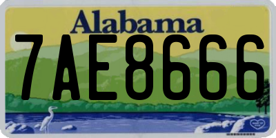 AL license plate 7AE8666