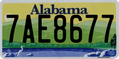 AL license plate 7AE8677
