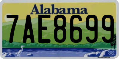 AL license plate 7AE8699