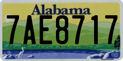 AL license plate 7AE8717