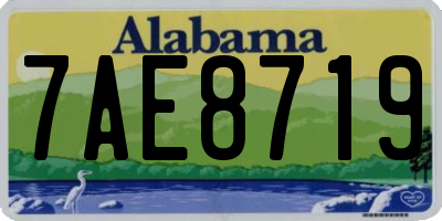 AL license plate 7AE8719