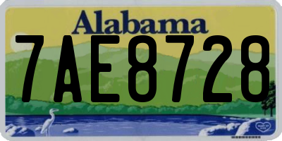 AL license plate 7AE8728