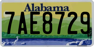 AL license plate 7AE8729